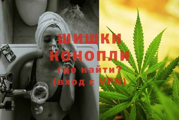шишки Балахна
